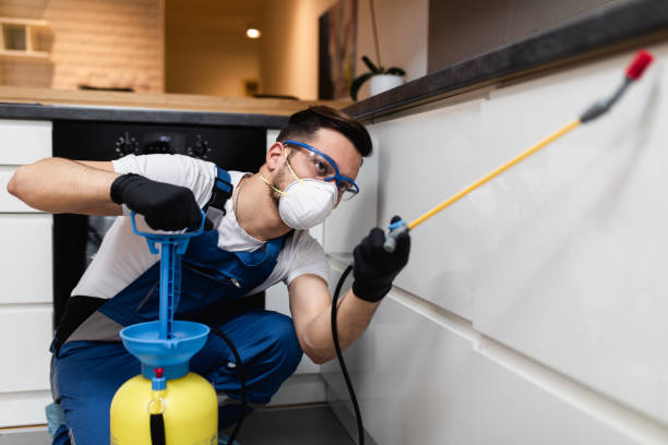 Best Fumigation Services  in Rosebud, TX